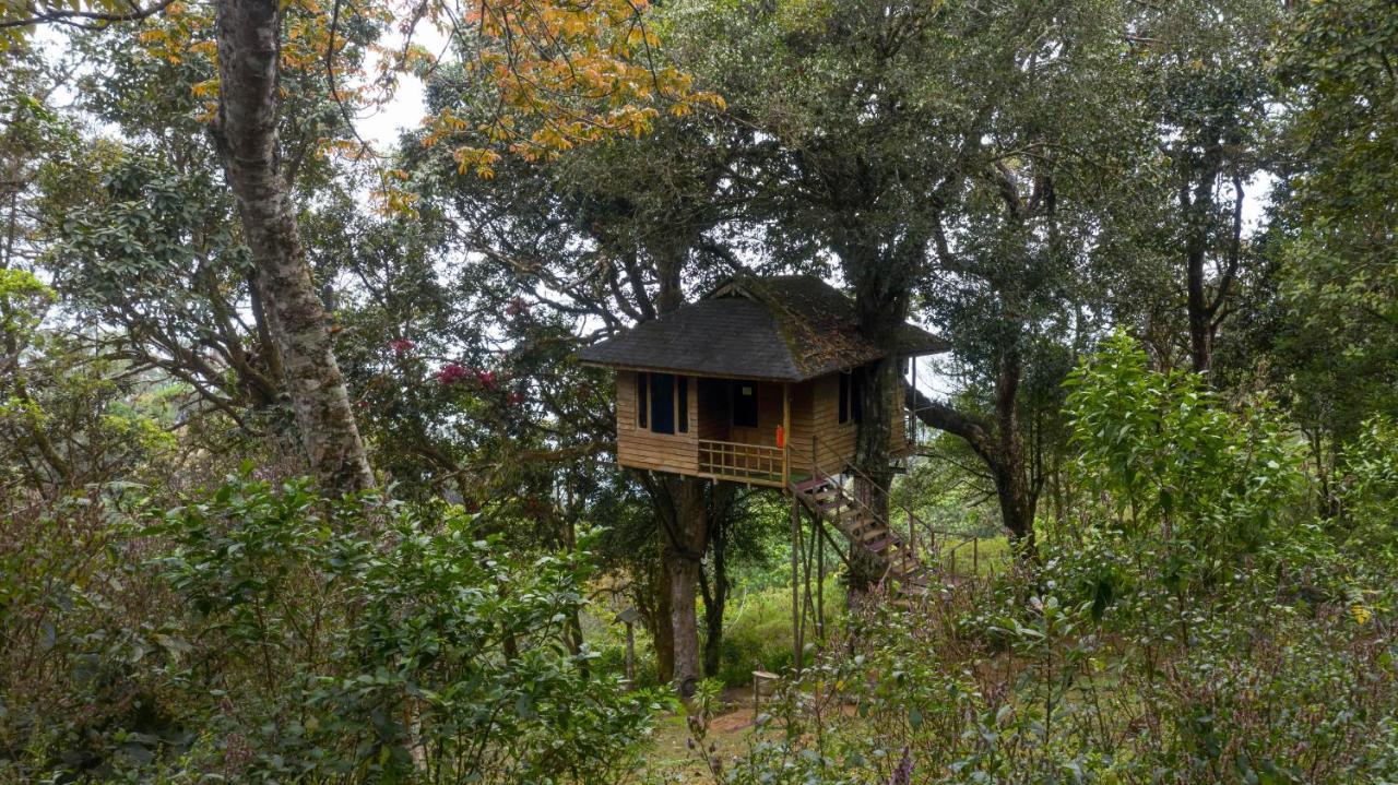 Nature Zone Jungle Resort Munnar Ngoại thất bức ảnh