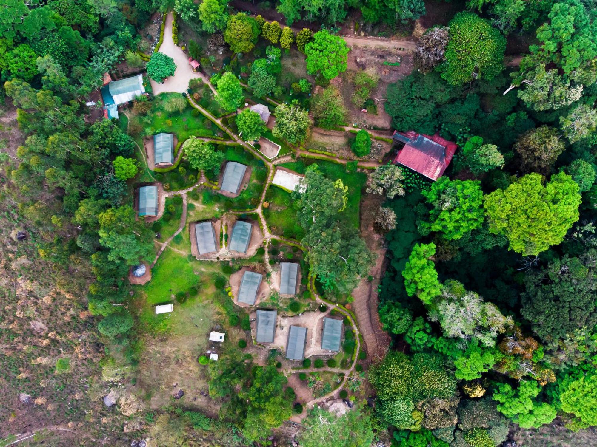 Nature Zone Jungle Resort Munnar Ngoại thất bức ảnh